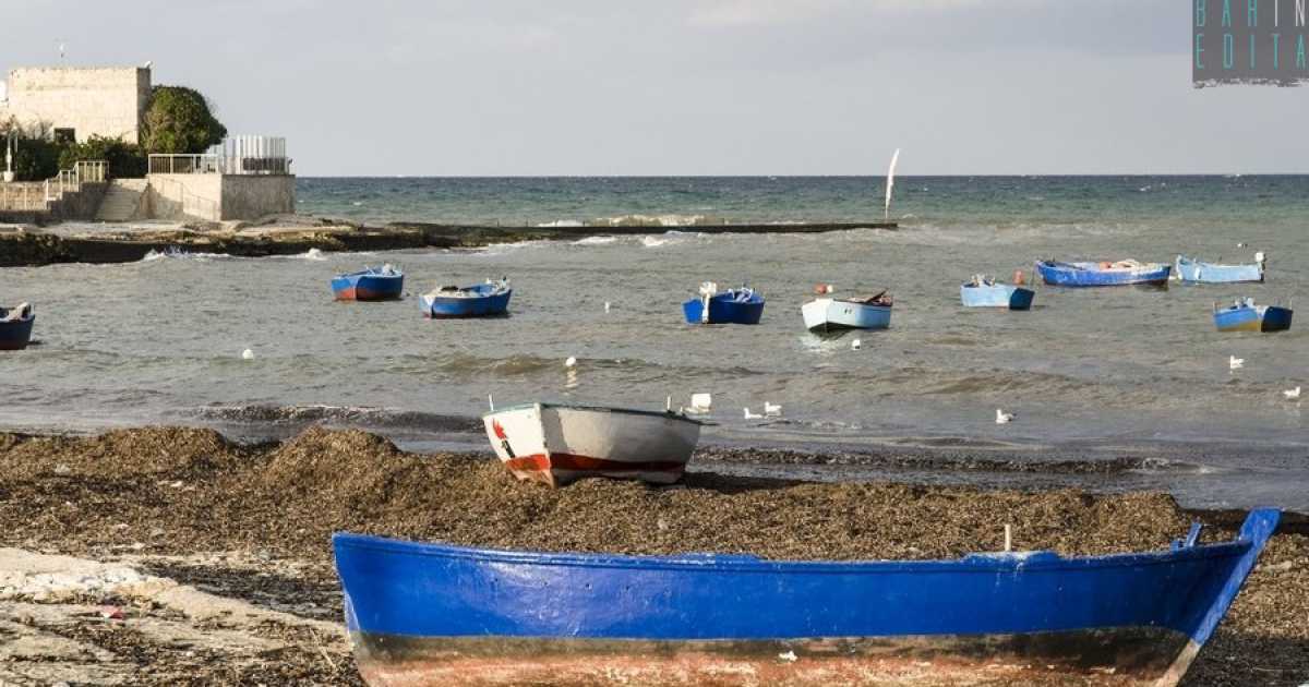 Bari, cala Pantano: tra alghe e gozzi il porticello che "vive" un solo giorno all'anno